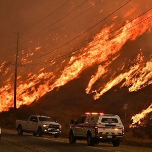 LA Wildfire: Donation Article